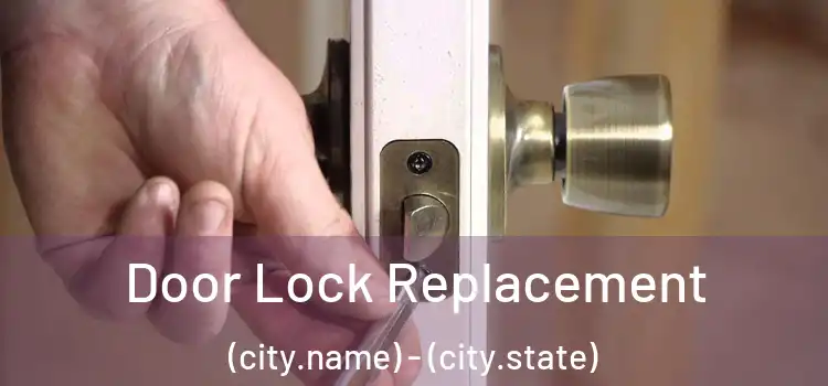  Door Lock Replacement (city.name) - (city.state)